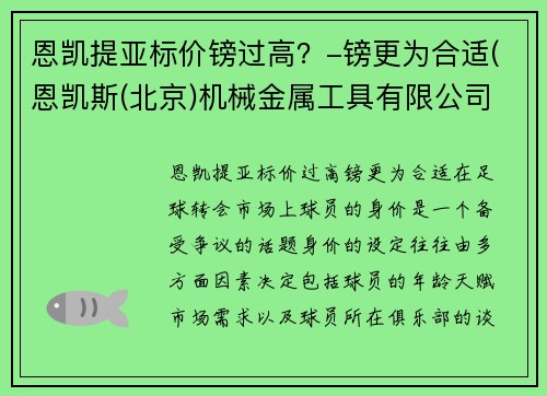 恩凯提亚标价镑过高？-镑更为合适(恩凯斯(北京)机械金属工具有限公司)